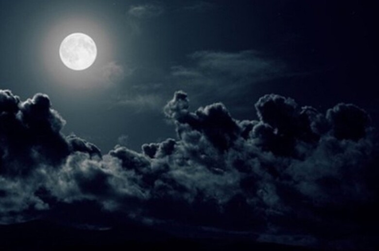 970×546-65b13ccbbcedb65b13ccbbcedc