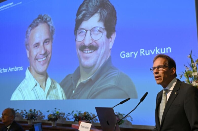 970×546-6703d667833b66703d667833b8