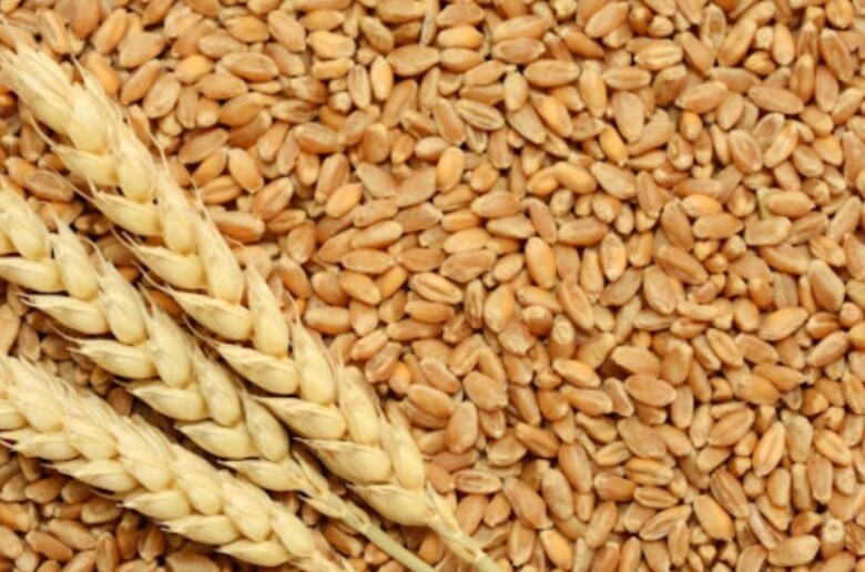 970×546-671f7b8252f61671f7b8252f62